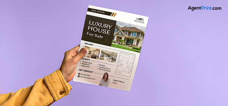 Property Brochures and Flyers